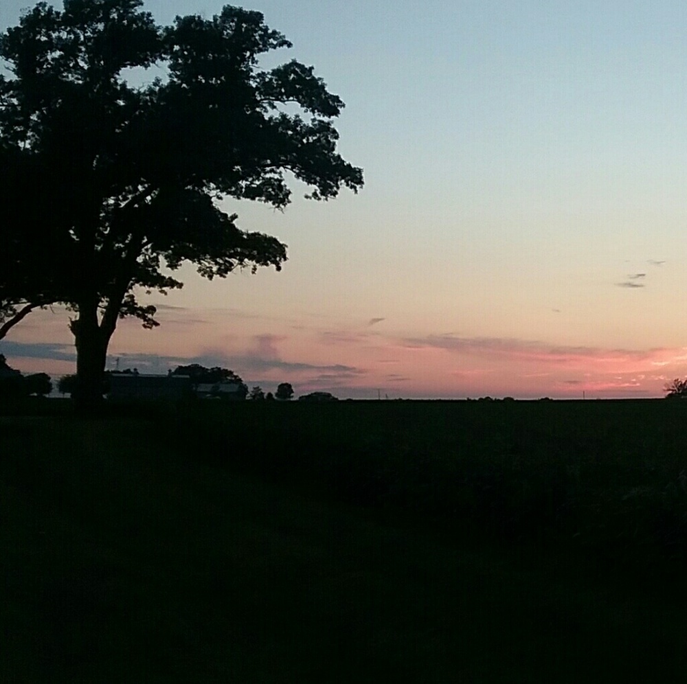 Meet your Posher, Joana